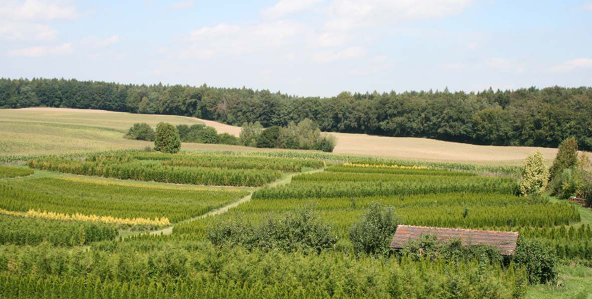 Schlossgärtnerei Grafrath Schlossgärtnerei Grafrath
